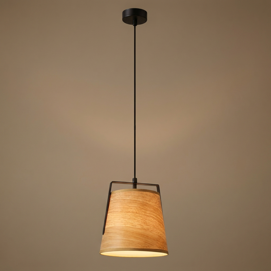Suspension Acier Noir E27 · photo 14