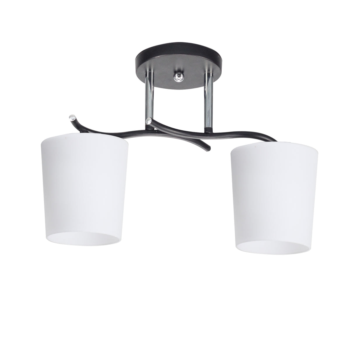 Plafonnier 2 Lampes Acier Verre