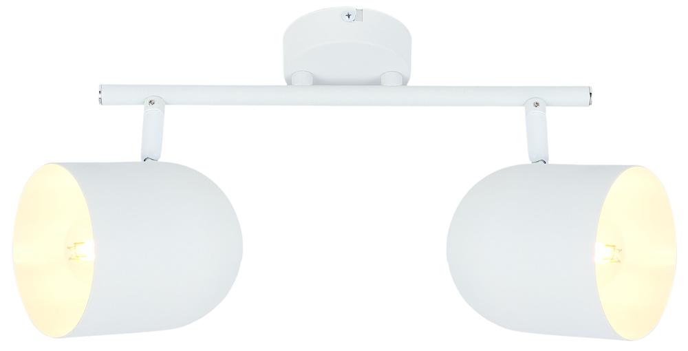 Plafonnier 2 Lampes Acier Blanc · Azuro