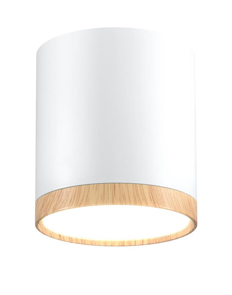 Spot LED Blanc