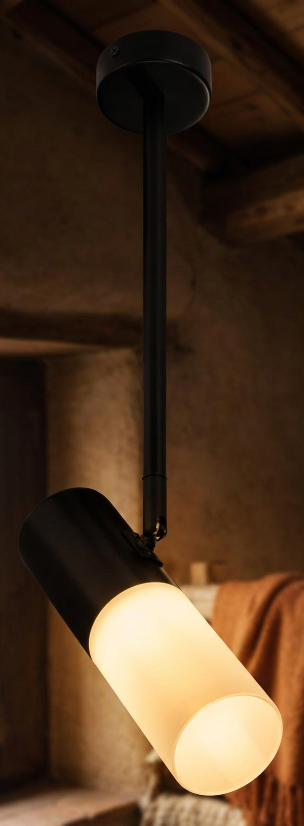 Suspension Acier Composite Blanc et Noir · photo 11