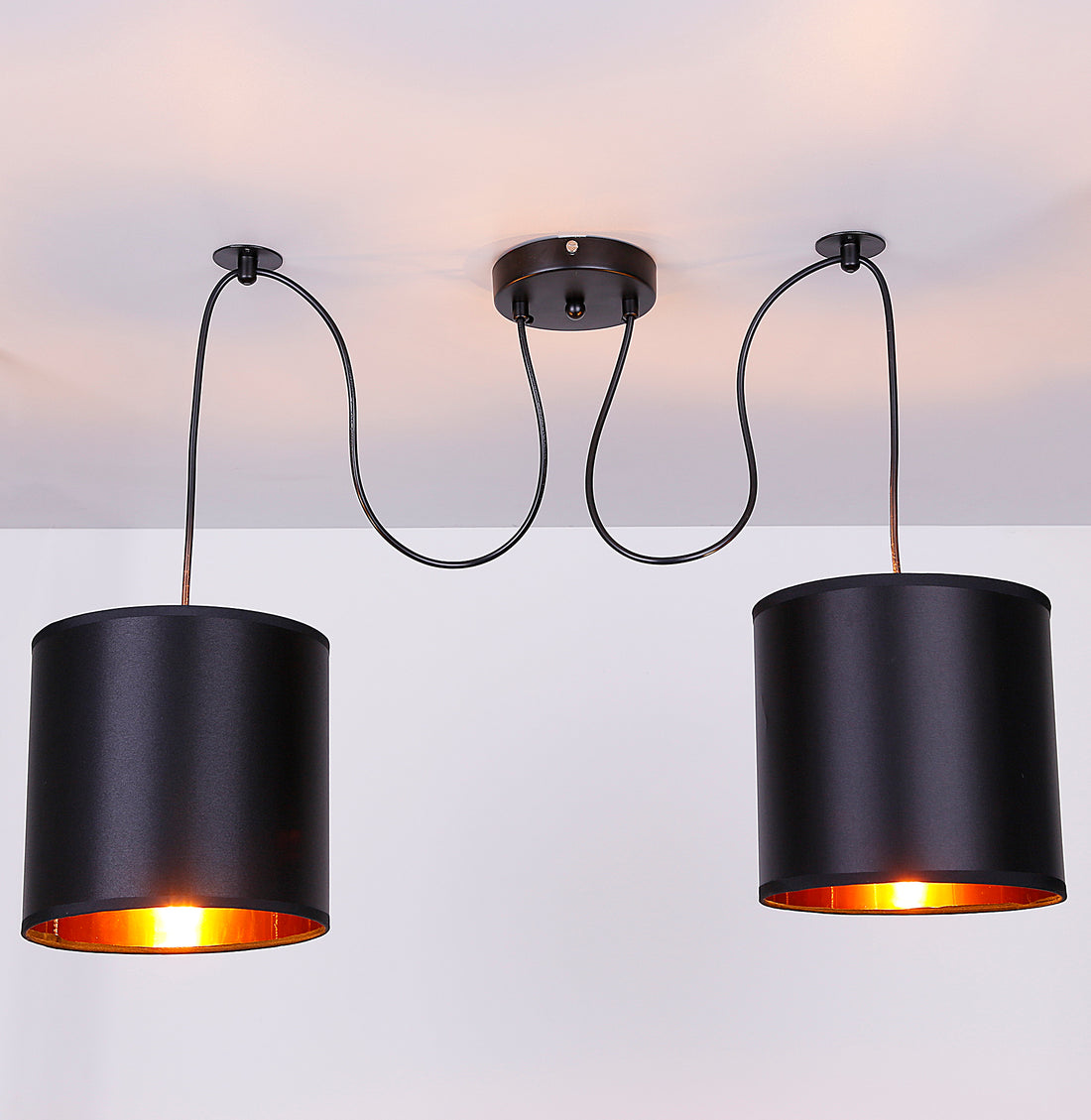 Suspension 2 Lampes Acier E27 · Candida · photo 4