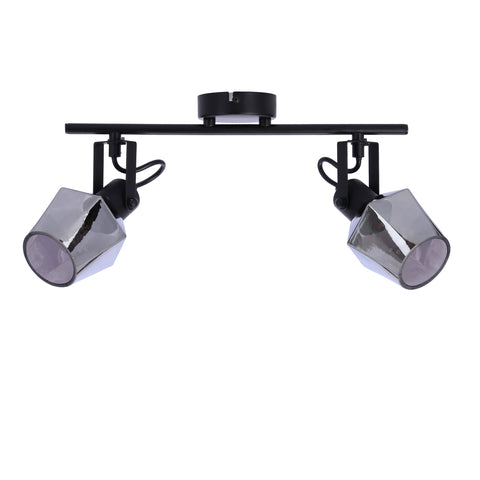 Plafonnier 2 Lampes Acier Verre