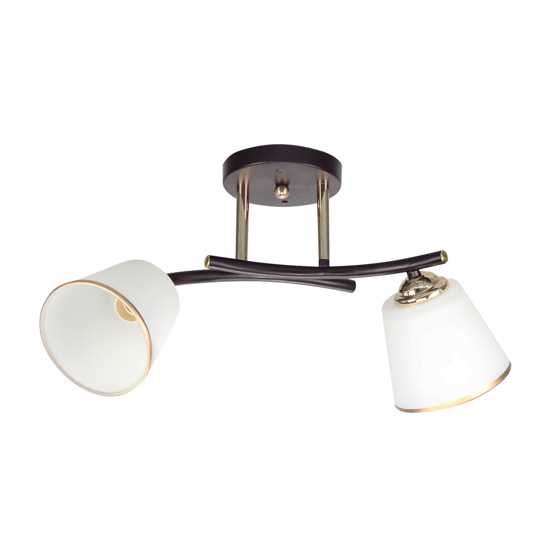 Plafonnier 2 Lampes Acier Verre Noir et Doré
