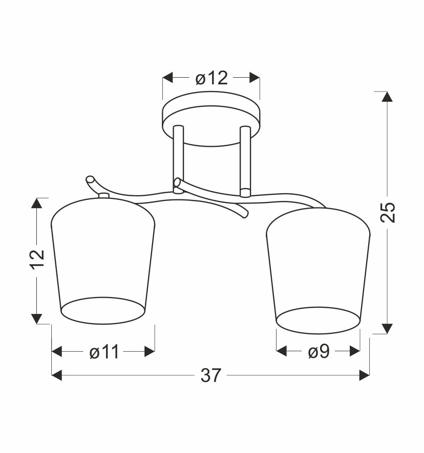Plafonnier 2 Lampes Acier Verre · photo 3