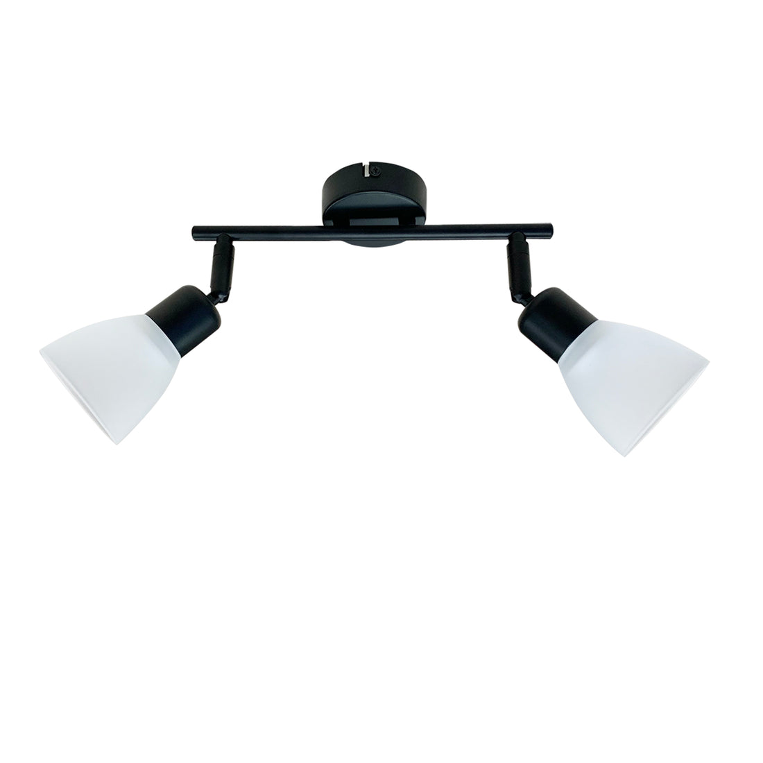 Plafonnier 2 Lampes Acier Verre Noir
