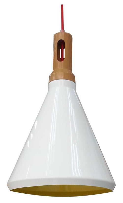 Suspension Robinson
