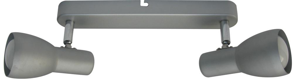 Plafonnier 2 Lampes Acier Gris et Argenté · Picardo
