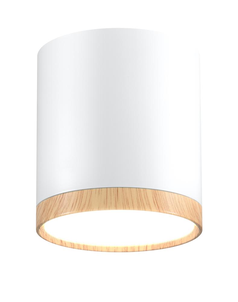 Spot LED Blanc