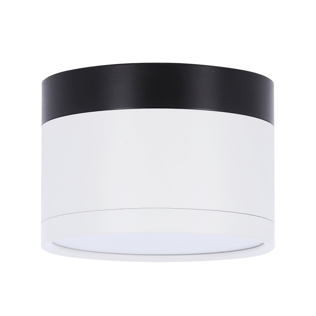 Spot LED Blanc et Noir
