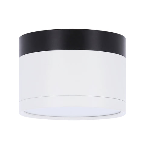 Spot LED Blanc et Noir