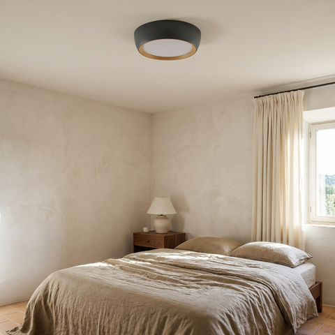 Plafonnier LED Acier Composite — en situation dans une piece, fixe au plafond, eteint