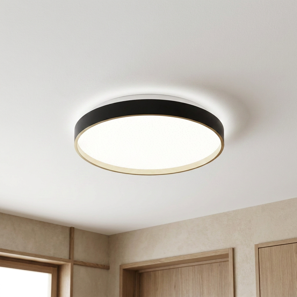 Plafonnier LED Acier Composite — allume au plafond, halo lumineux